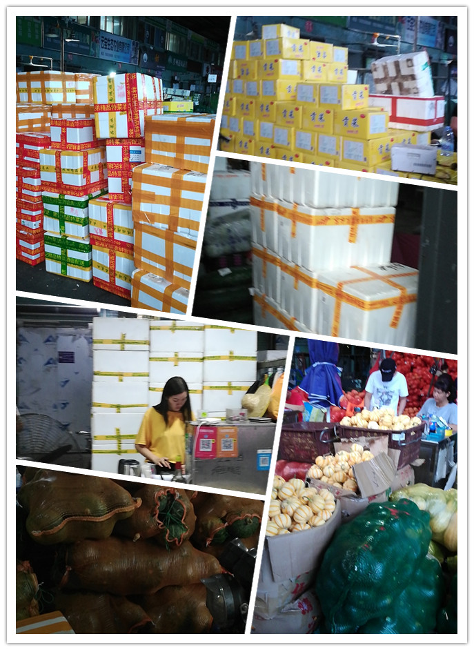 122cc太阳集成游戏(中国)有限公司官网