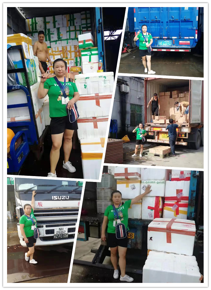 122cc太阳集成游戏(中国)有限公司官网