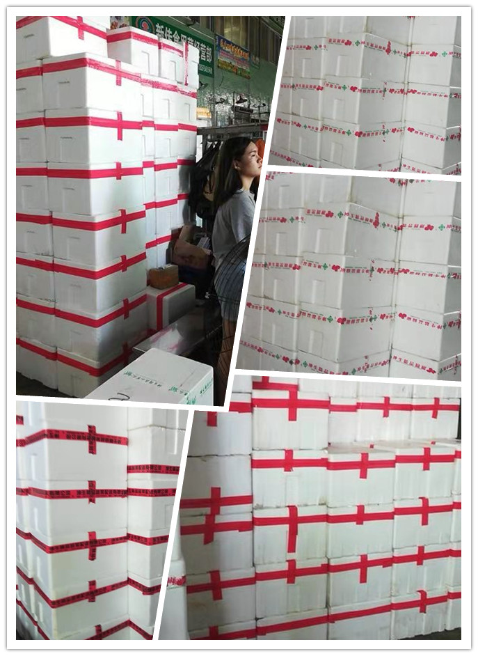 122cc太阳集成游戏(中国)有限公司官网