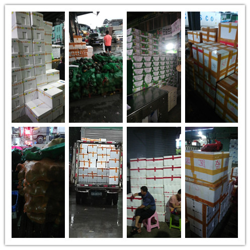 122cc太阳集成游戏(中国)有限公司官网