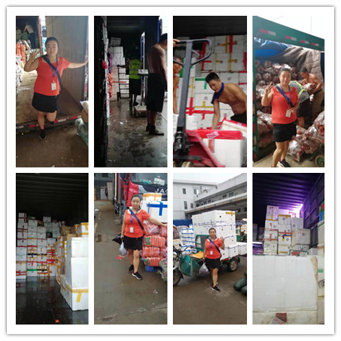 122cc太阳集成游戏(中国)有限公司官网