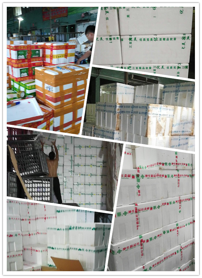 122cc太阳集成游戏(中国)有限公司官网