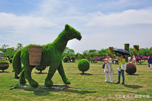 122cc太阳集成游戏(中国)有限公司官网