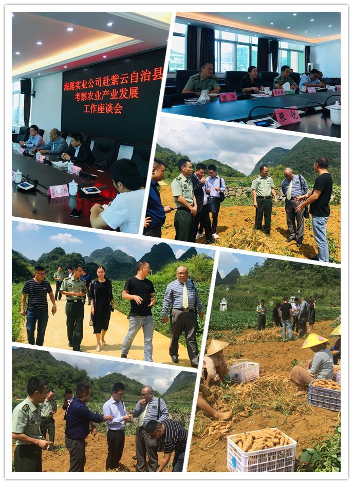 122cc太阳集成游戏(中国)有限公司官网