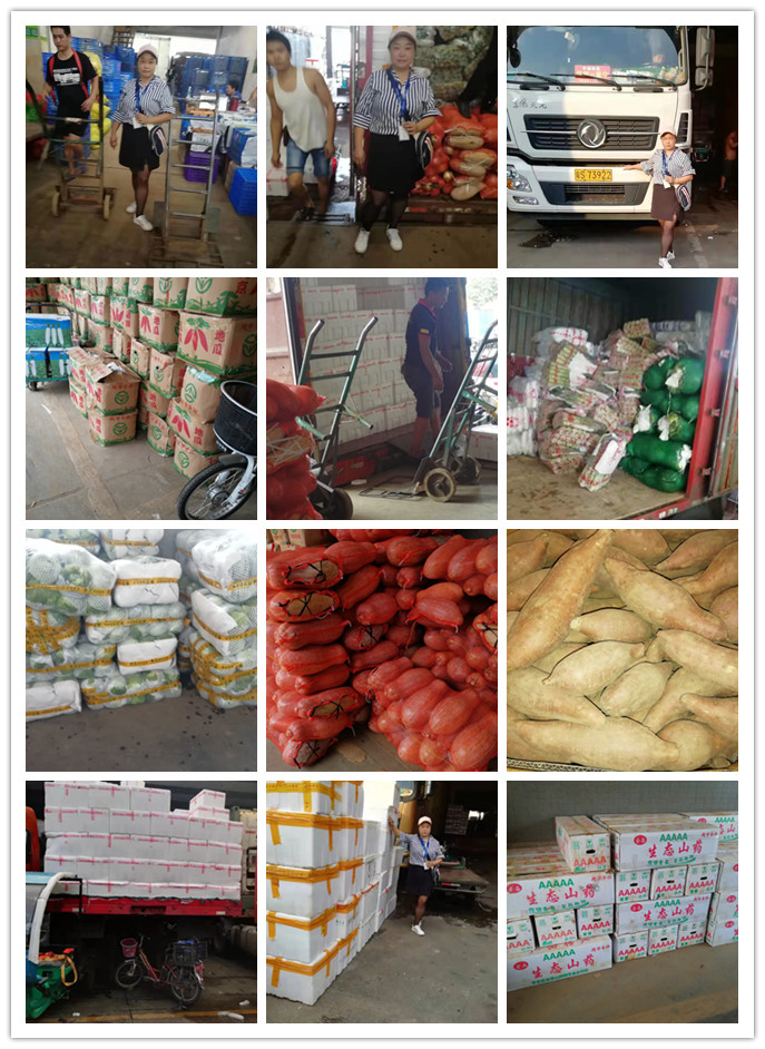 122cc太阳集成游戏(中国)有限公司官网