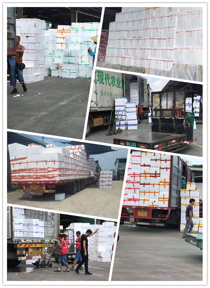 122cc太阳集成游戏(中国)有限公司官网