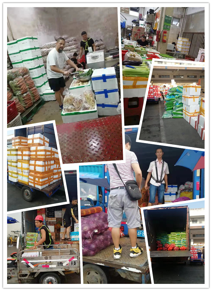 122cc太阳集成游戏(中国)有限公司官网