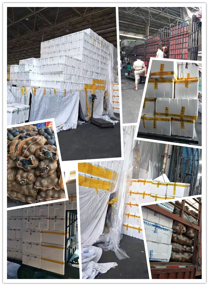 122cc太阳集成游戏(中国)有限公司官网