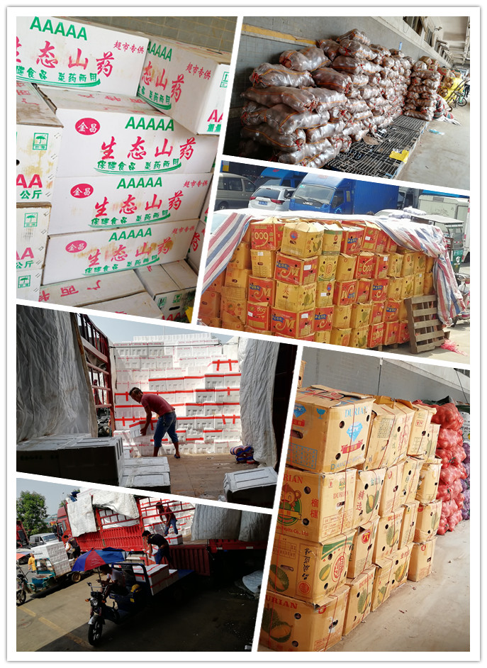 122cc太阳集成游戏(中国)有限公司官网