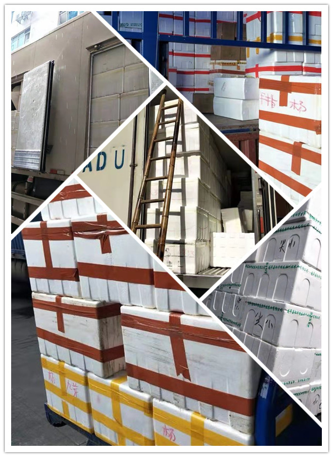 122cc太阳集成游戏(中国)有限公司官网