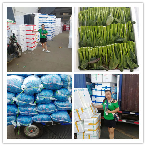 122cc太阳集成游戏(中国)有限公司官网