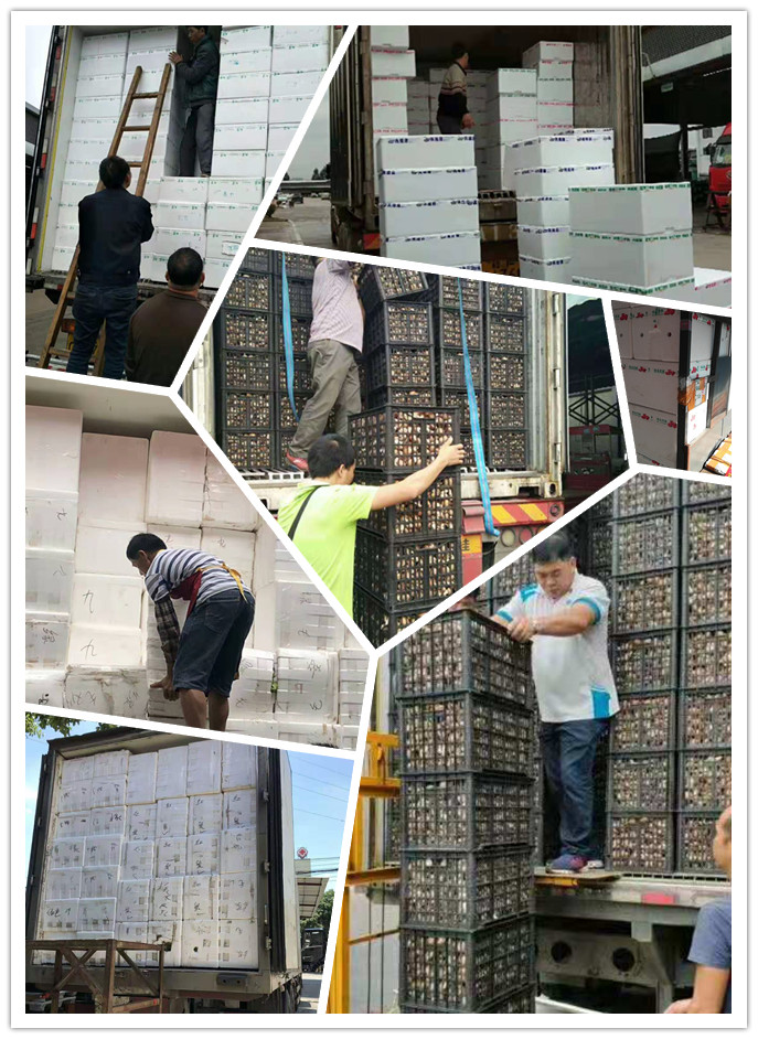 122cc太阳集成游戏(中国)有限公司官网