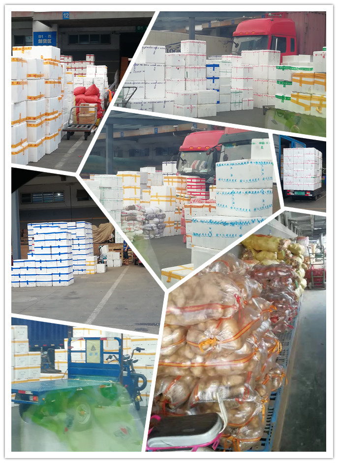 122cc太阳集成游戏(中国)有限公司官网