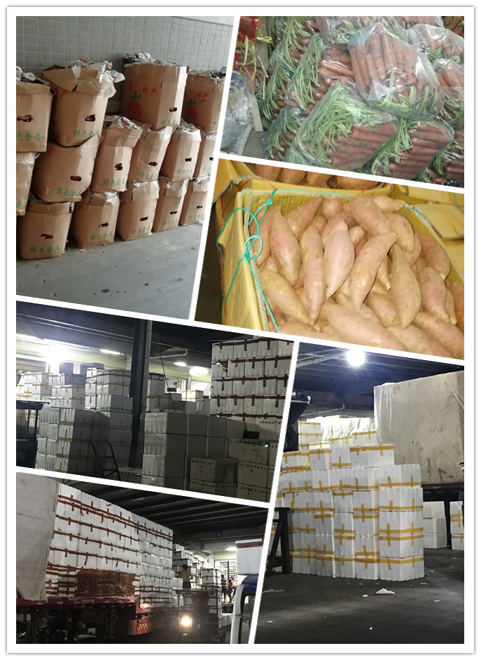 122cc太阳集成游戏(中国)有限公司官网