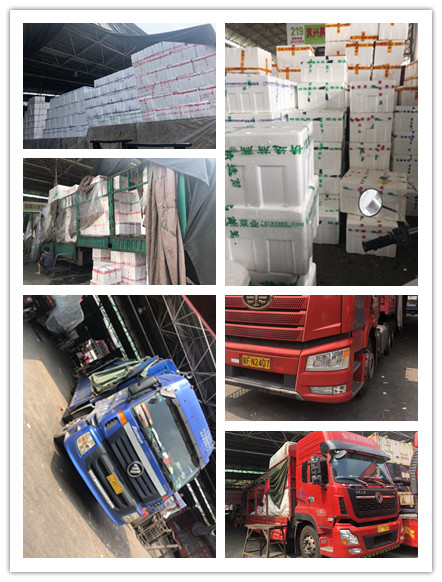 122cc太阳集成游戏(中国)有限公司官网