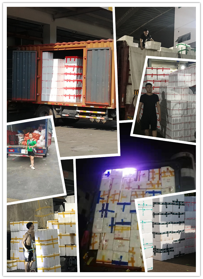 122cc太阳集成游戏(中国)有限公司官网