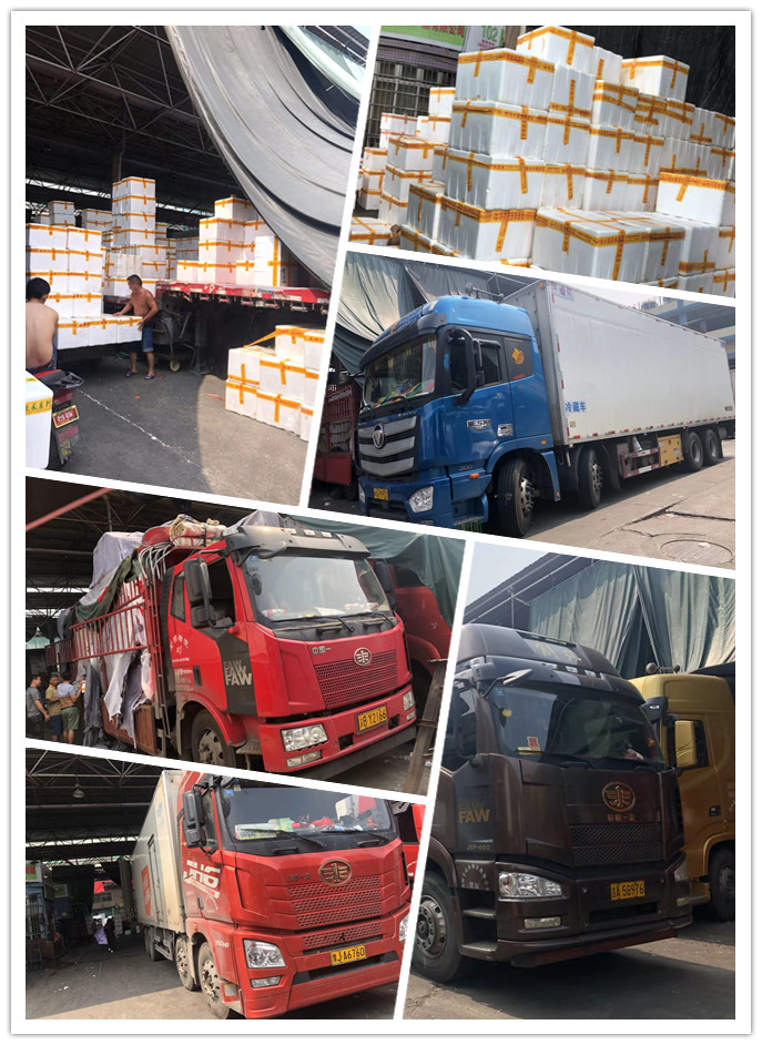 122cc太阳集成游戏(中国)有限公司官网