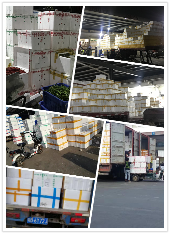 122cc太阳集成游戏(中国)有限公司官网