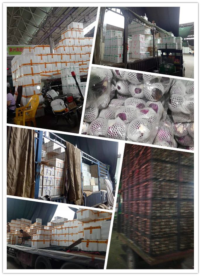 122cc太阳集成游戏(中国)有限公司官网