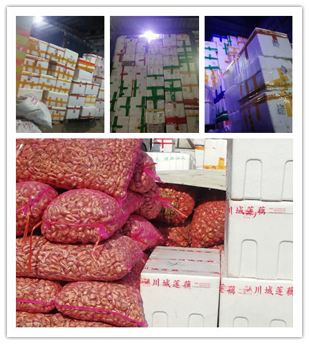 122cc太阳集成游戏(中国)有限公司官网