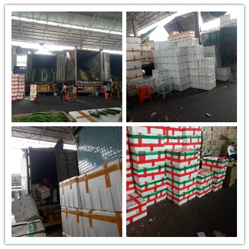 122cc太阳集成游戏(中国)有限公司官网