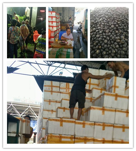 122cc太阳集成游戏(中国)有限公司官网