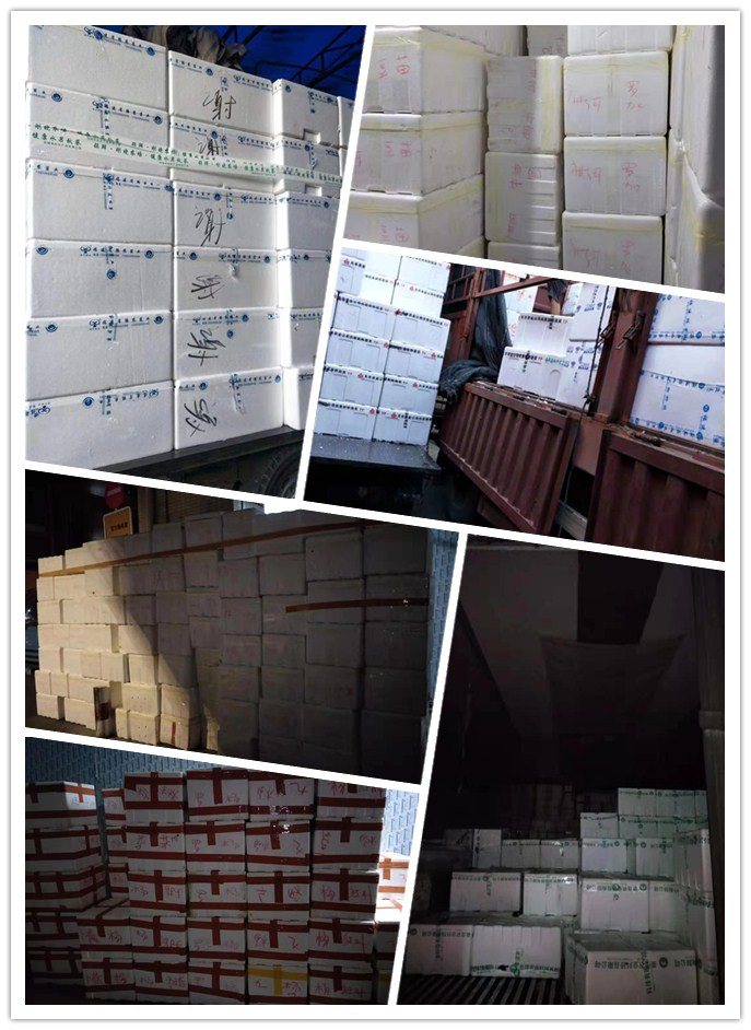 122cc太阳集成游戏(中国)有限公司官网