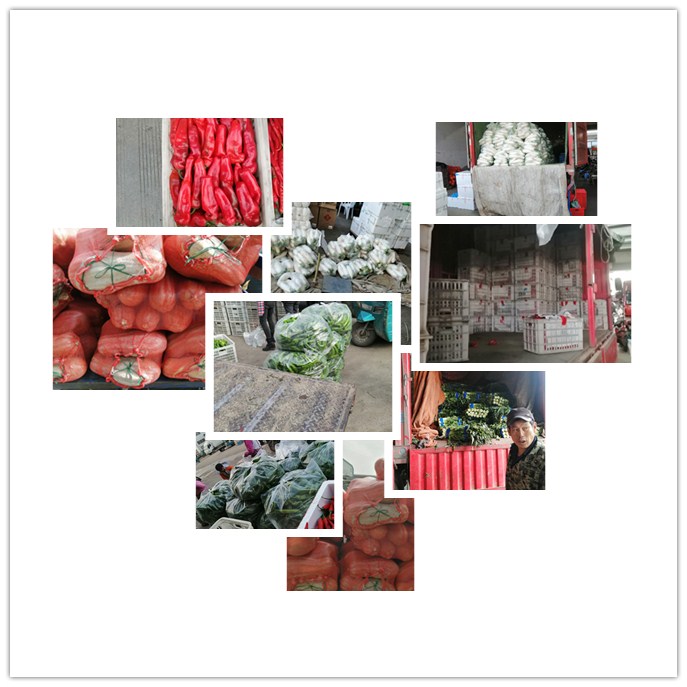 122cc太阳集成游戏(中国)有限公司官网