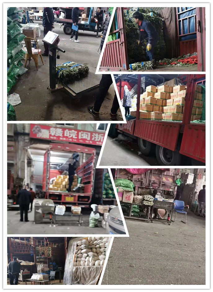 122cc太阳集成游戏(中国)有限公司官网