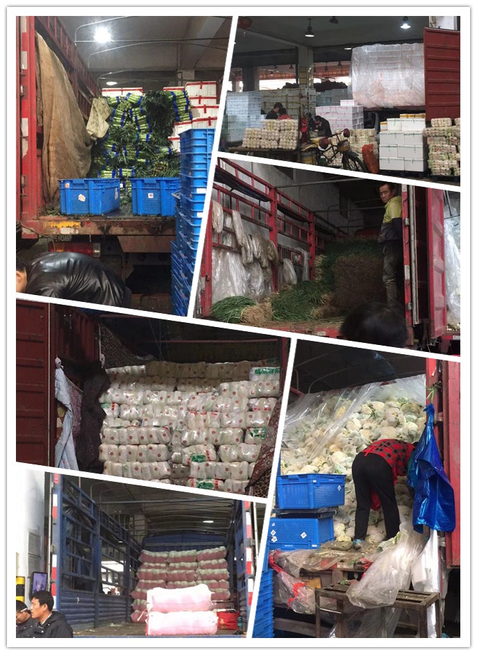 122cc太阳集成游戏(中国)有限公司官网