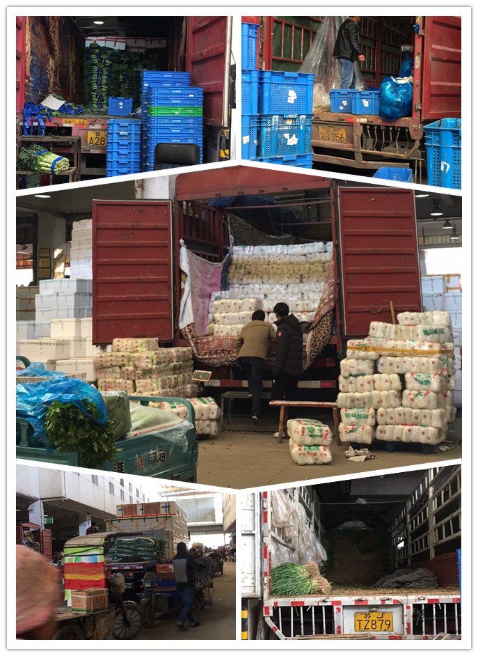 122cc太阳集成游戏(中国)有限公司官网