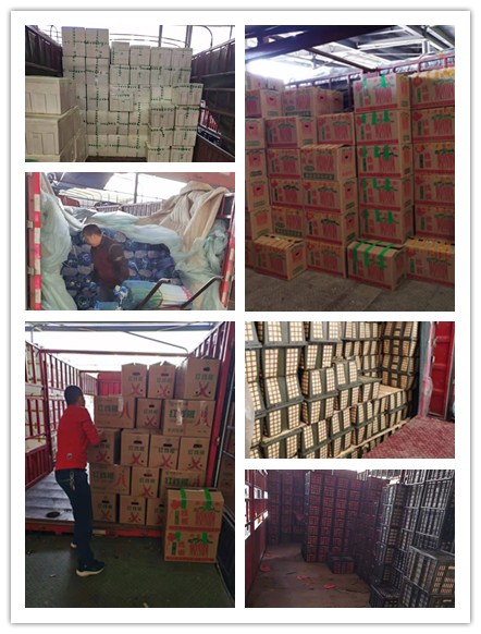 122cc太阳集成游戏(中国)有限公司官网