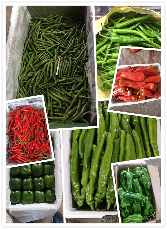 122cc太阳集成游戏(中国)有限公司官网