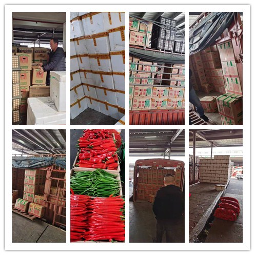 122cc太阳集成游戏(中国)有限公司官网