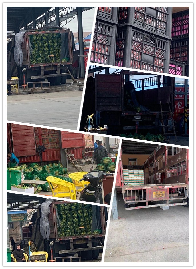 122cc太阳集成游戏(中国)有限公司官网