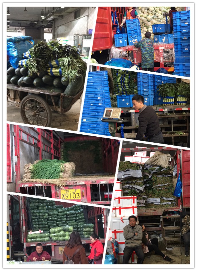 122cc太阳集成游戏(中国)有限公司官网