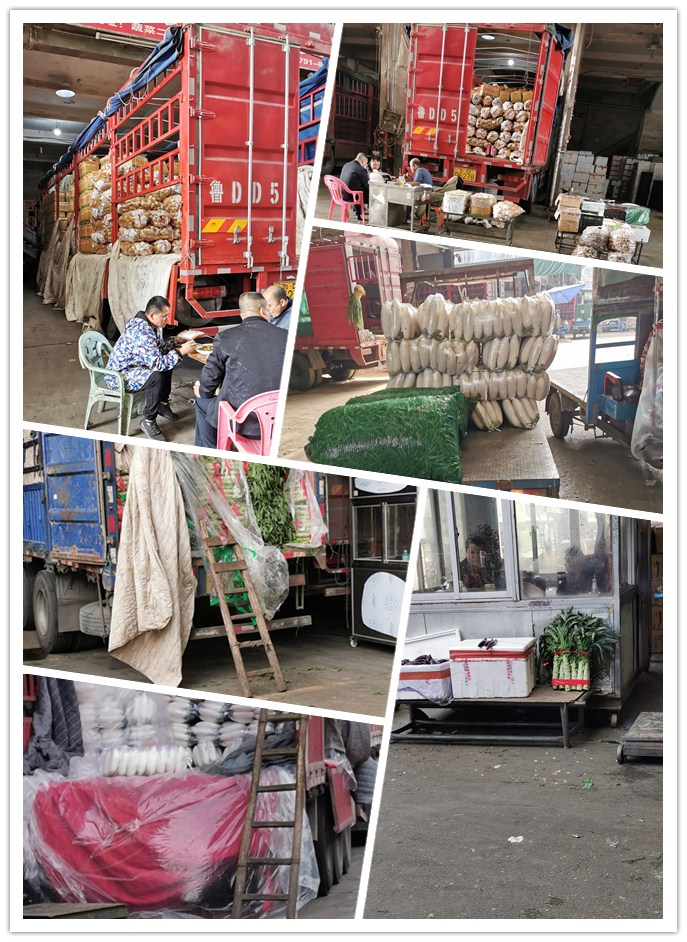 122cc太阳集成游戏(中国)有限公司官网