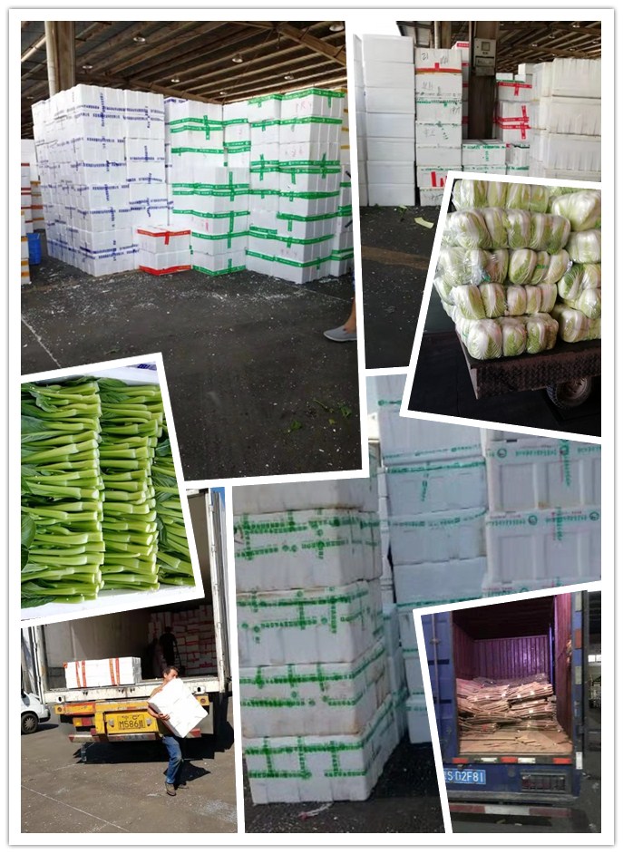 122cc太阳集成游戏(中国)有限公司官网