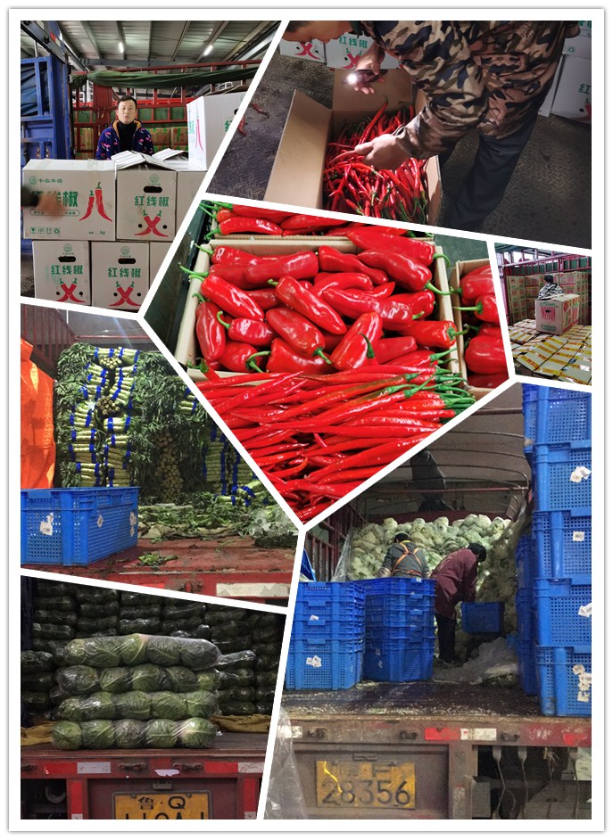 122cc太阳集成游戏(中国)有限公司官网