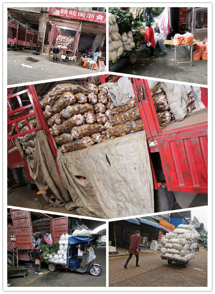 122cc太阳集成游戏(中国)有限公司官网