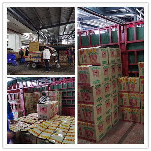 122cc太阳集成游戏(中国)有限公司官网