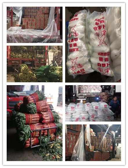 122cc太阳集成游戏(中国)有限公司官网