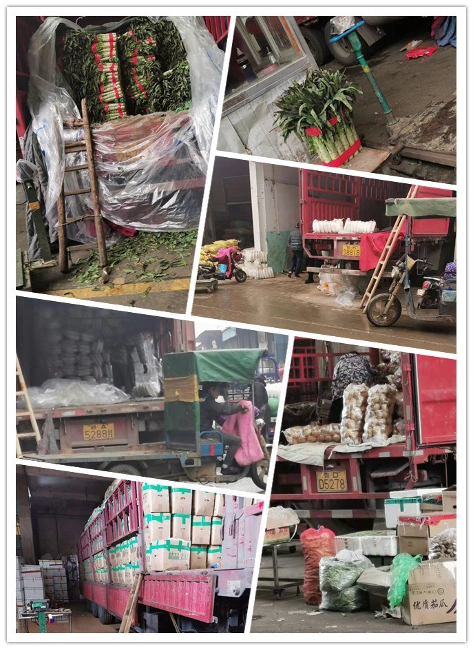 122cc太阳集成游戏(中国)有限公司官网