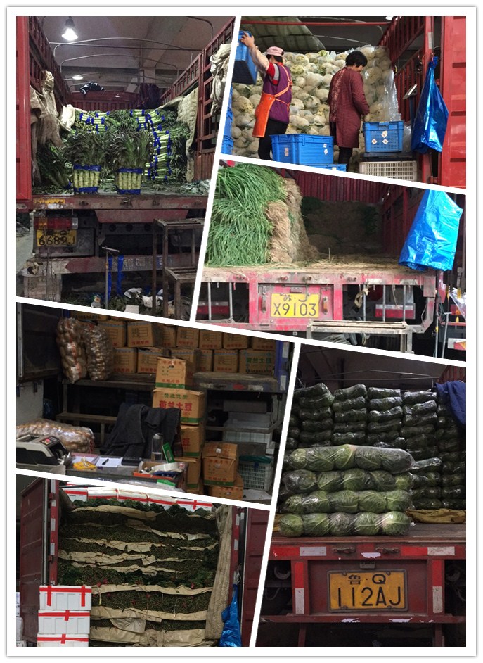 122cc太阳集成游戏(中国)有限公司官网