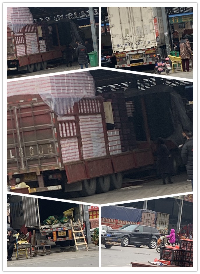 122cc太阳集成游戏(中国)有限公司官网