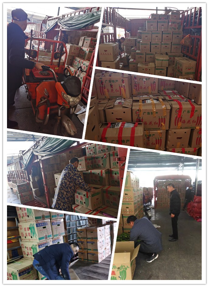 122cc太阳集成游戏(中国)有限公司官网