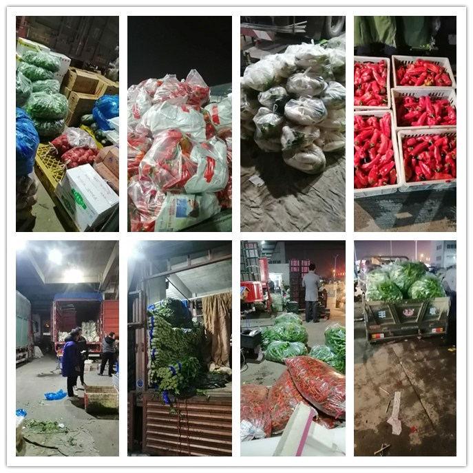 122cc太阳集成游戏(中国)有限公司官网