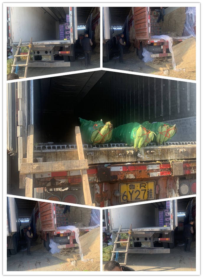 122cc太阳集成游戏(中国)有限公司官网