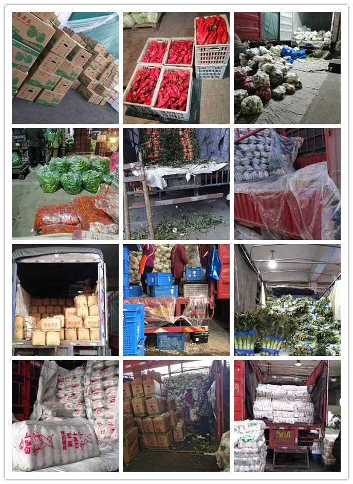 122cc太阳集成游戏(中国)有限公司官网