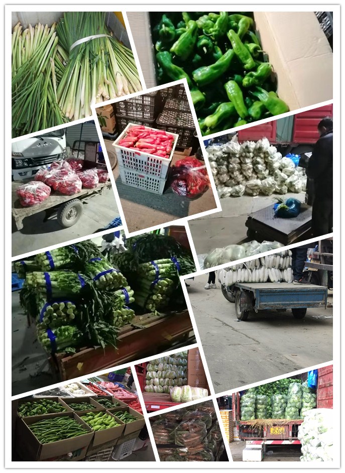 122cc太阳集成游戏(中国)有限公司官网